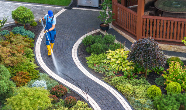 Best Pressure Washing Company Near Me  in White Meadow Lake, NJ